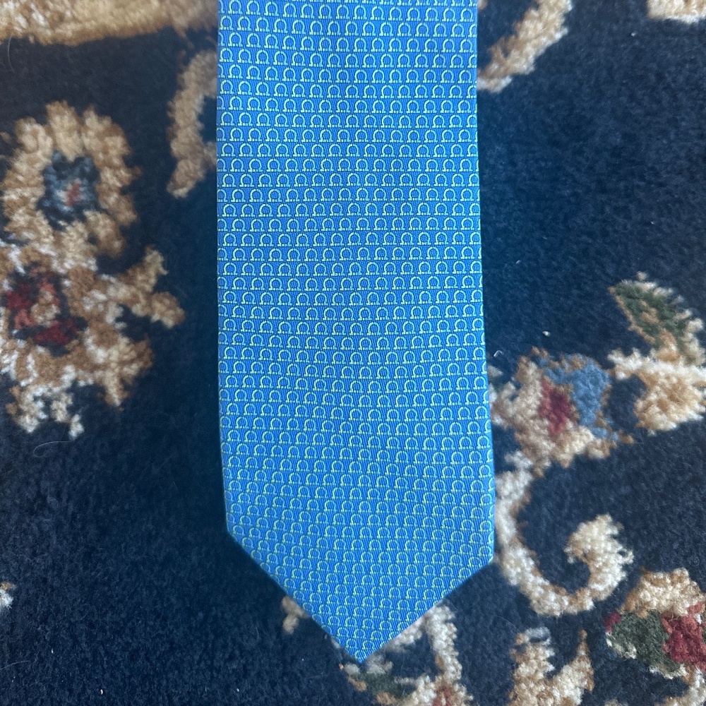 Salvatore Ferragamo tie (gently used)